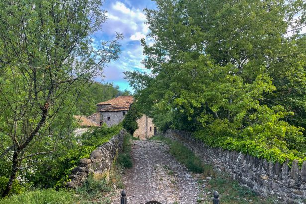 Ruta Circular Jaca - Bergosa - Ipas - Rapitán: Naturaleza y Aventura en el Pirineo Aragonés