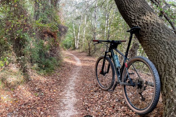 Ruta BTT Circular desde Camping Zaragoza: Aventura sobre ruedas por Garrapinillos, Monzalbarba