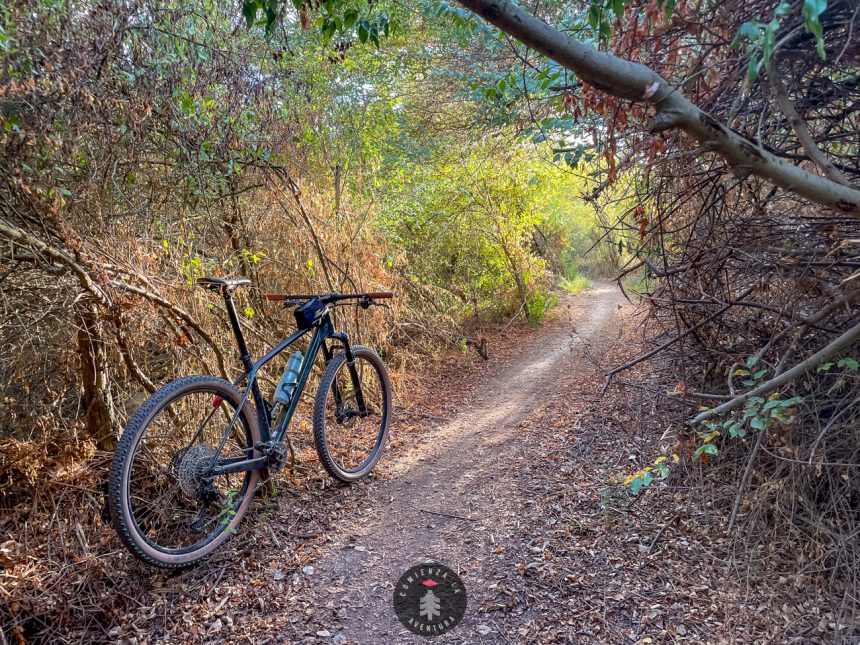 Ruta Ciclista Circular desde el Camping de Zaragoza: Canal, Utebo, Juslibol, Alfocea y Actur