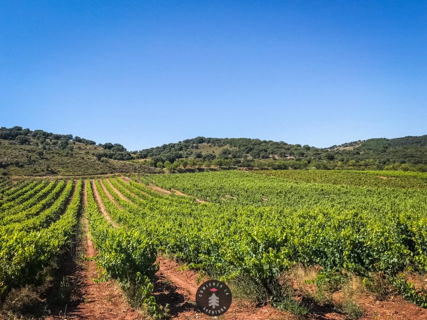 Ruta Ciclista: La Aventura Definitiva por la Toscana Aragonesa