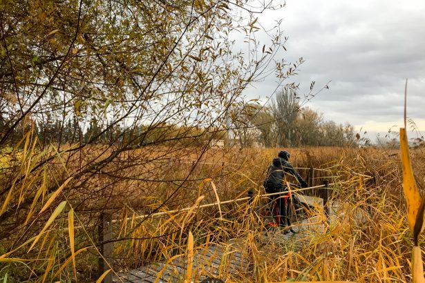 Ruta Ciclista Circular desde el Camping de Zaragoza: Canal, Torre Medina y Balsa Larralde