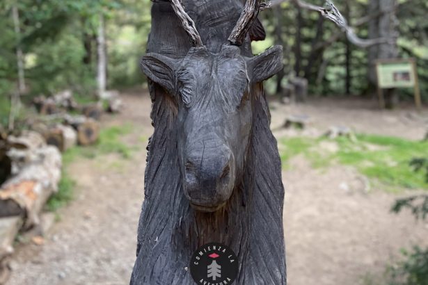 Aventura en Villanúa: Ruta Senderista a la Fuente del Paco