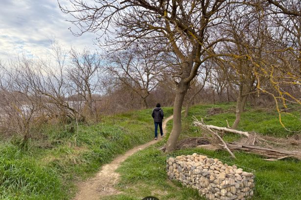 Ruta Senderista por los Galachos de Juslibol: Naturaleza a las Puertas de Zaragoza
