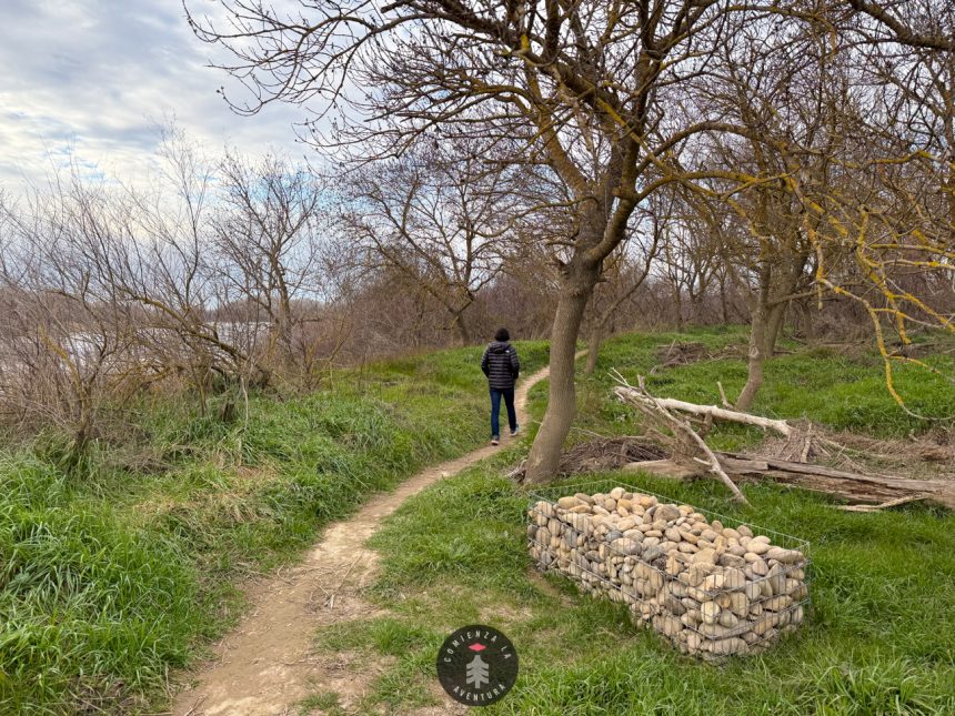 Ruta Senderista por los Galachos de Juslibol: Naturaleza a las Puertas de Zaragoza