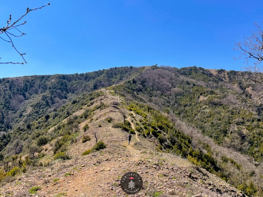 Aventura Circular en Luesia: Conquista Puy Moné y Puy Fonquera en una Ruta Única