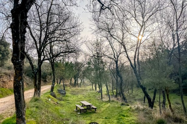 Ruta Senderista en la Sierra de Algairén