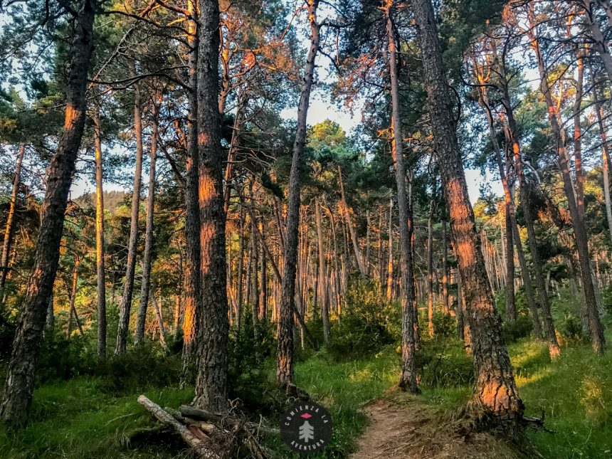 Desafío en la Montaña: Ulle – Punta Bacials – Punta Sora – Peña Oroel – Senda Lobos