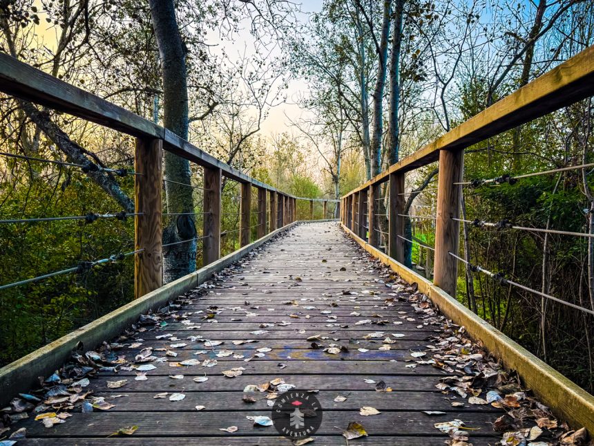 Aventura en Bici por Zaragoza: De Puente del Bicentenario a los Galachos de Alfranca y Río Gállego
