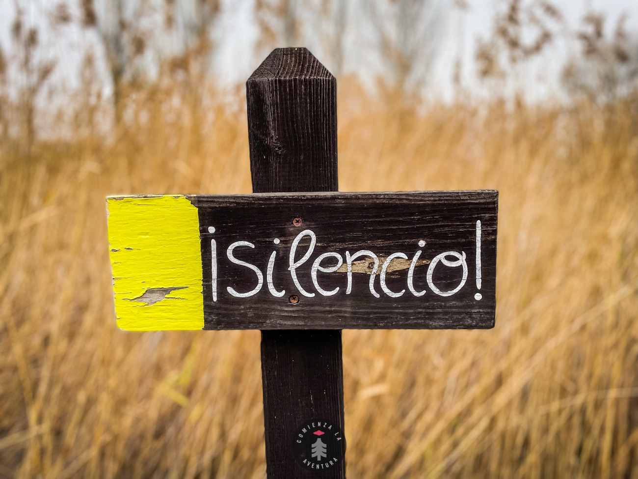 Ruta Ciclista: Camping Zaragoza, Balsa Larralde, Ojo del Cura y Ojo del Fraile – Un Recorrido Inolvidable por la Naturaleza y la Aventura