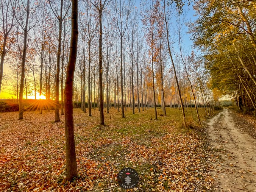 Ruta Ciclista por el Ebro: De Casetas a Sobradiel a Través de Paisajes Inolvidables