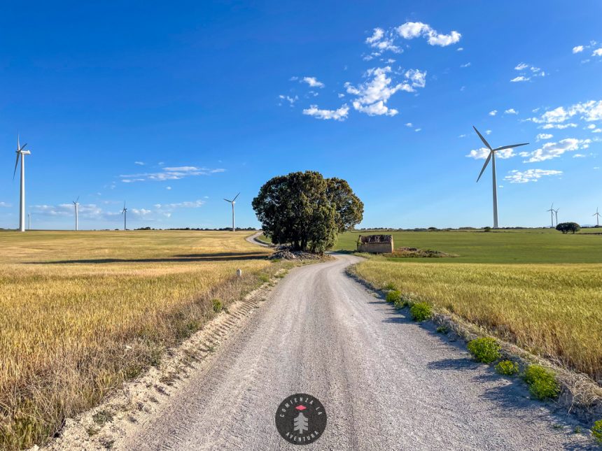 Ruta Circular Ciclista Zaragoza - Valmadrid - Bosque Alto - Vallobera: Un Recorrido Imperdible por los Paisajes de Aragón