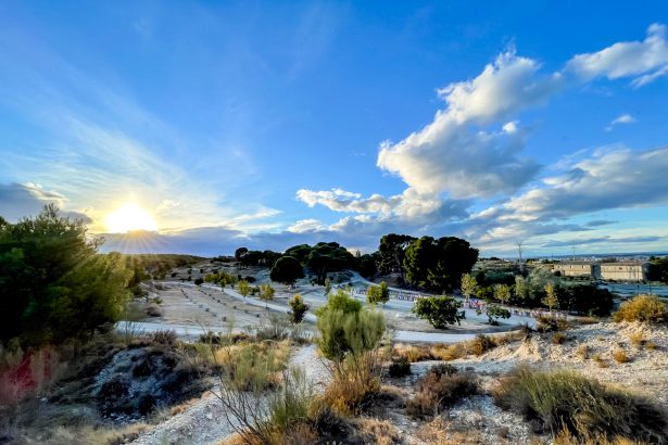 Ruta Senderista La Lobo en los Pinares de Venecia, Zaragoza: Una Aventura Natural al Alcance de Todos