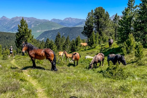 Los 7 Lagos del Gran Circ de Colomers: Una Aventura desde Banhs de Tredòs