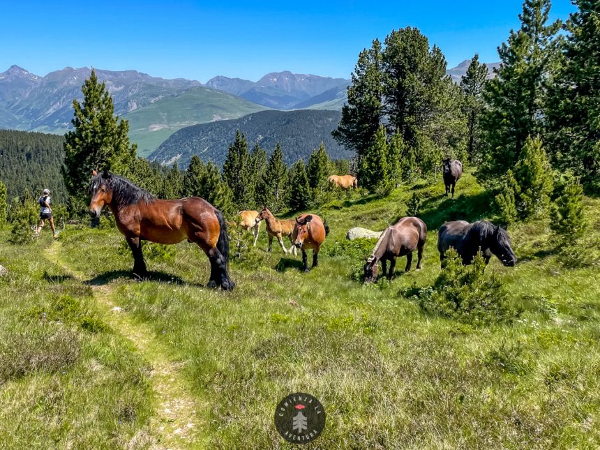 Los 7 Lagos del Gran Circ de Colomers: Una Aventura desde Banhs de Tredòs