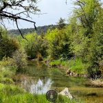Ruta Sierra de Bonés, Ermita de la Malena y Nacimiento del Río Flumen: Naturaleza y Patrimonio en Huesca